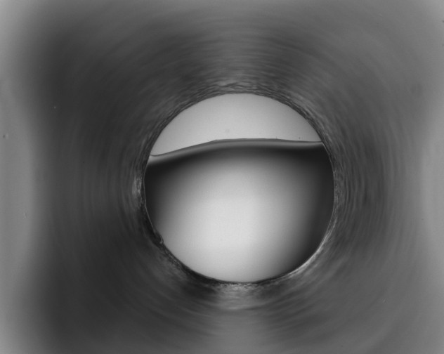 X0000093100192200709260934