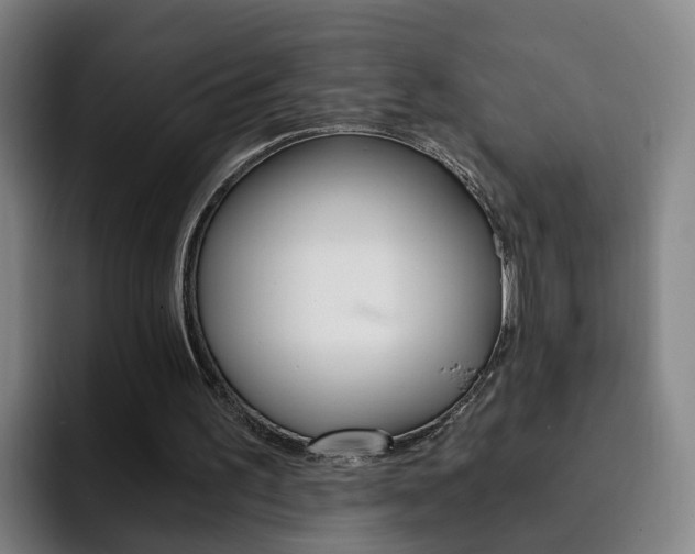 X0000093100195200709260933