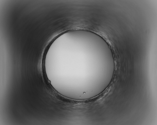 X0000093100196200709260933