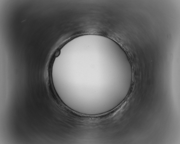 X0000093100198200709260933