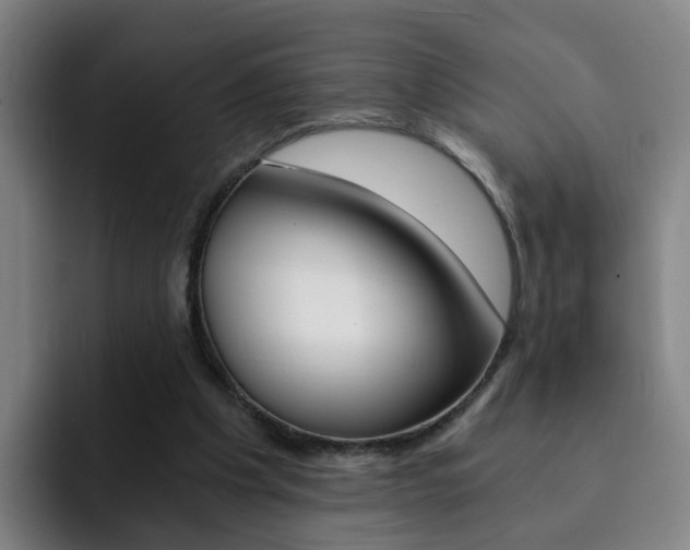 X0000093100201200709260933