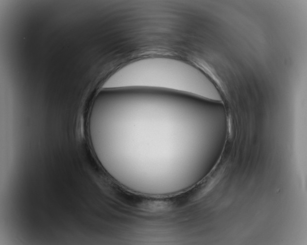 X0000093100205200709260933
