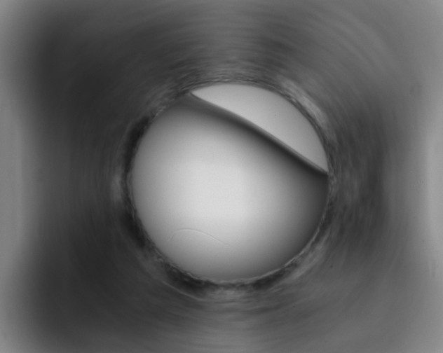 X0000093100209200709260933