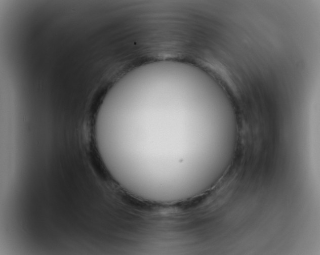X0000093100210200709260933