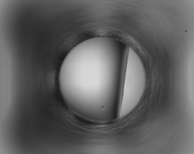 X0000093100217200709260933