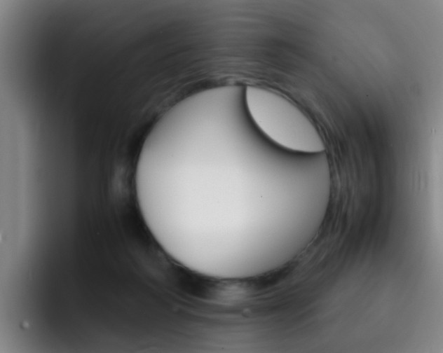 X0000093100218200709260933