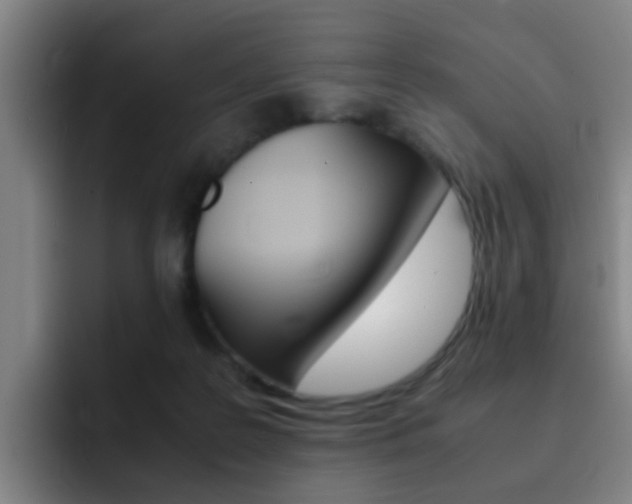 X0000093100219200709260933