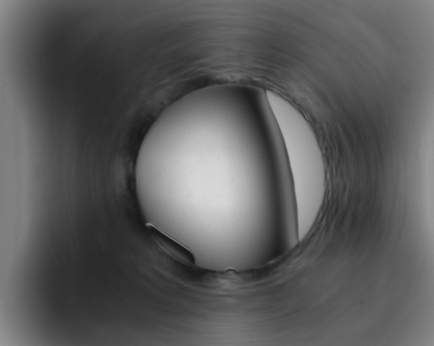 X0000093100229200709260933
