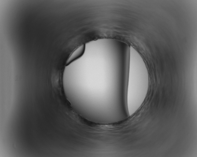 X0000093100233200709260933