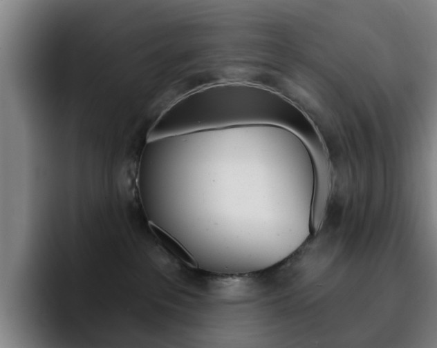 X0000093100237200709260933