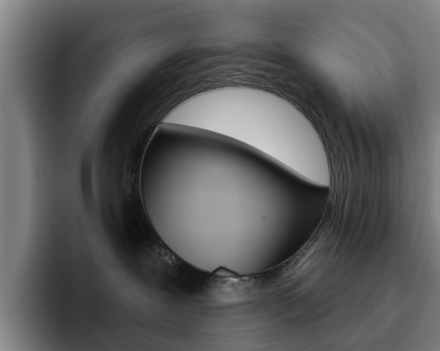 X0000093100239200709260933
