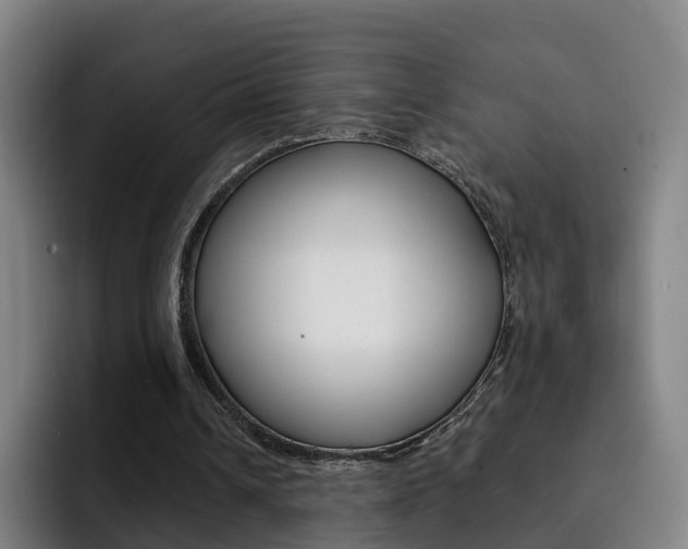 X0000093100242200709260932