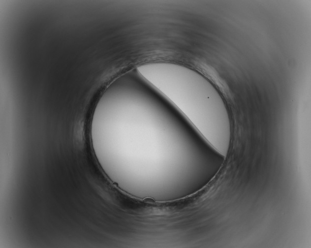 X0000093100250200709260932