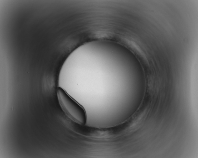 X0000093100260200709260933