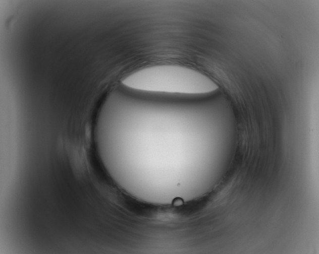 X0000093100262200709260933