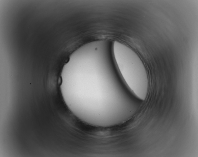X0000093100263200709260933