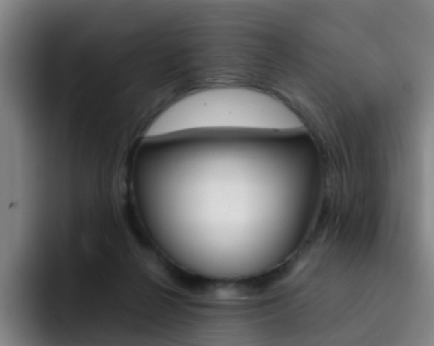 X0000093100264200709260933