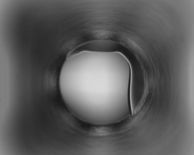 X0000093100268200709260933