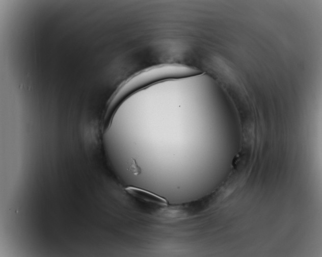 X0000093100280200709260933