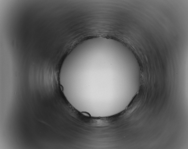 X0000093100286200709260933