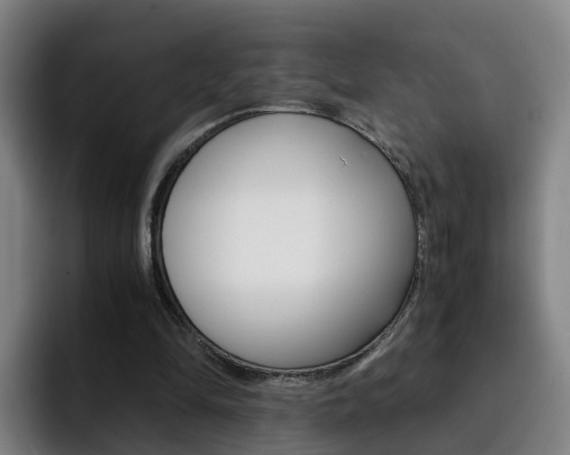 X0000093100294200709260932
