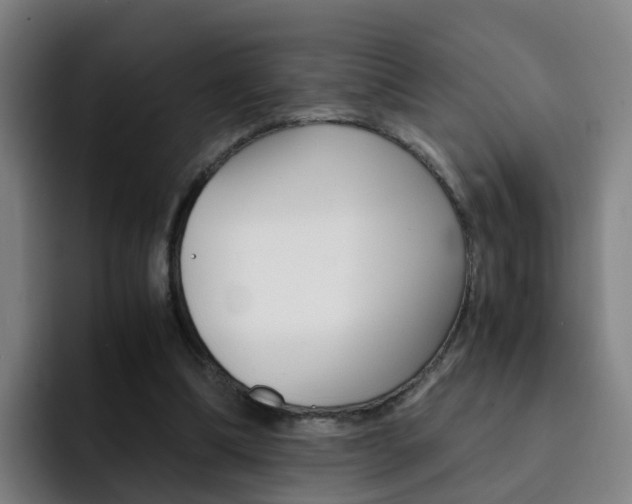 X0000093100298200709260932
