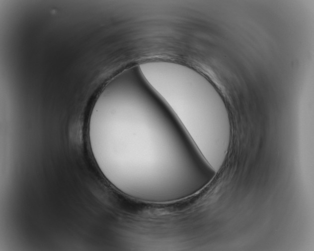 X0000093100299200709260932
