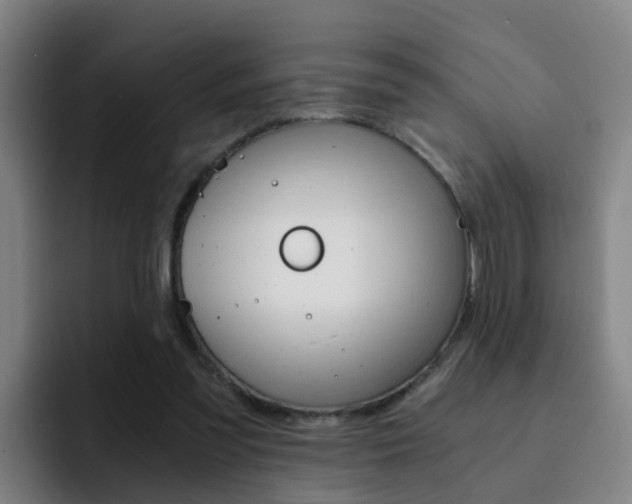 X0000093100301200709260932