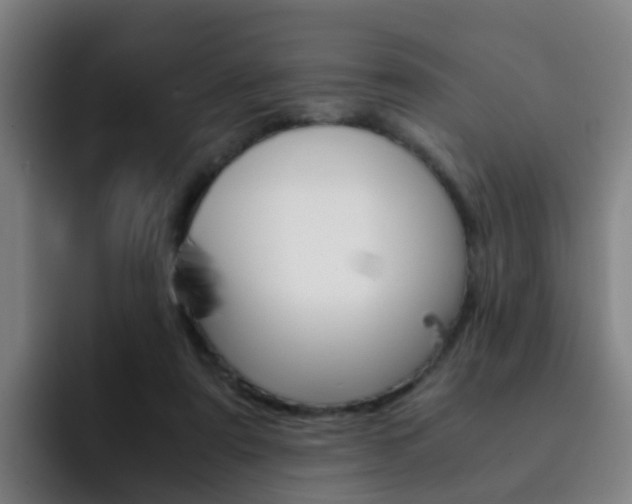 X0000093100307200709260932