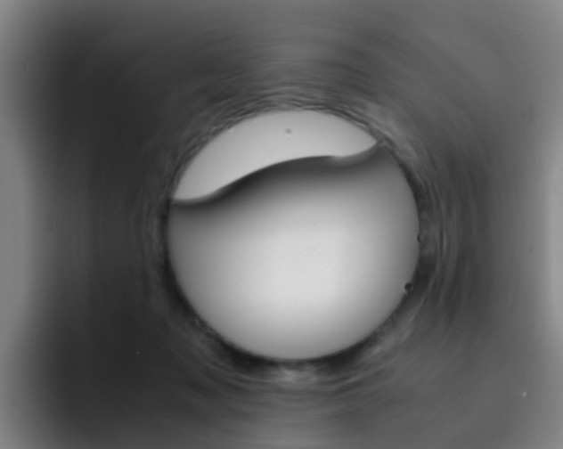 X0000093100317200709260932