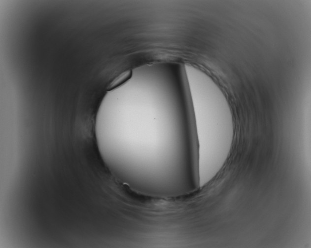 X0000093100325200709260932
