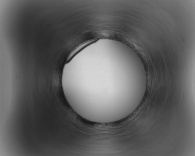 X0000093100331200709260932