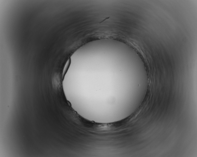 X0000093100335200709260932