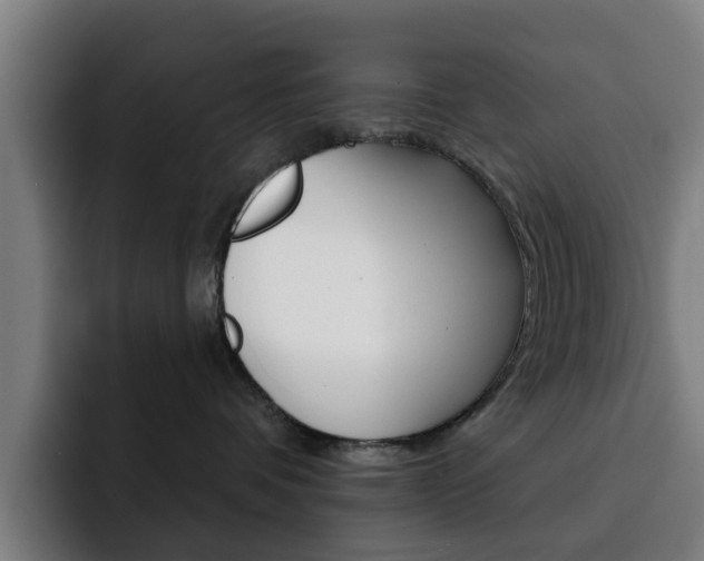 X0000093100336200709260932