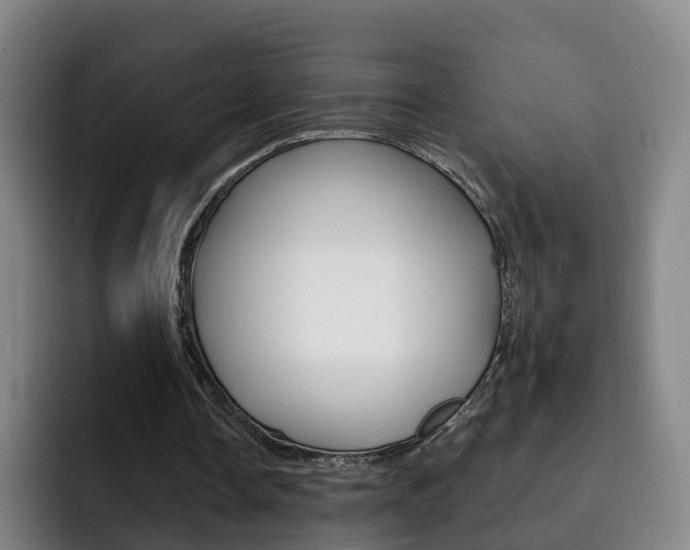 X0000093100338200709260931
