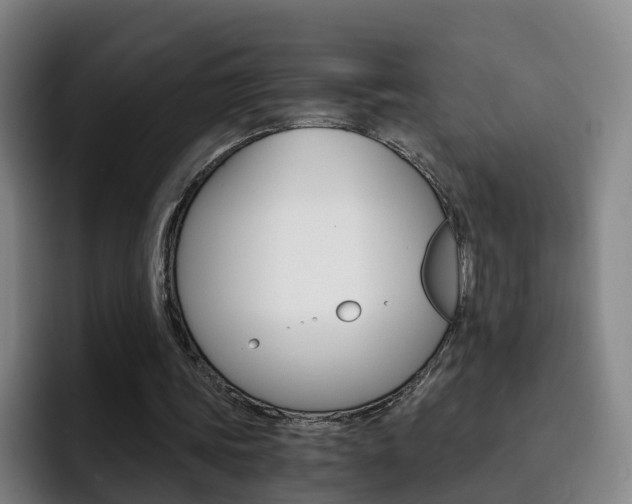 X0000093100339200709260931