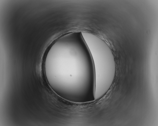 X0000093100340200709260931