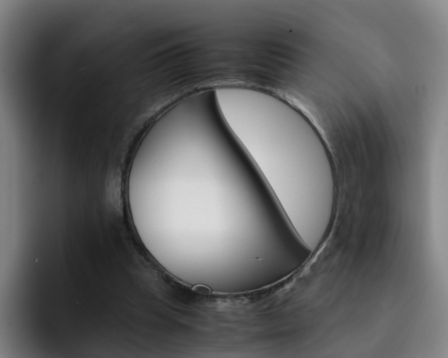 X0000093100345200709260931