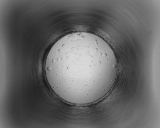X0000093100347200709260931
