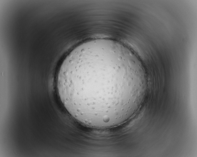 X0000093100351200709260931