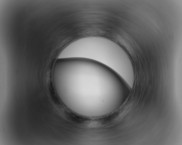 X0000093100356200709260931