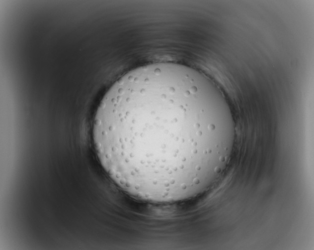 X0000093100359200709260931