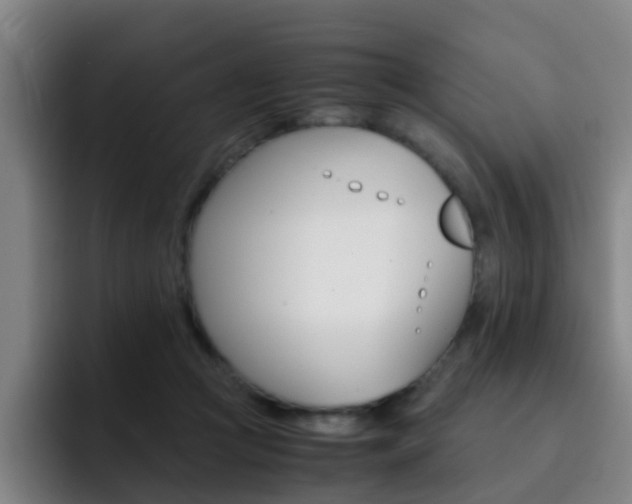X0000093100361200709260931