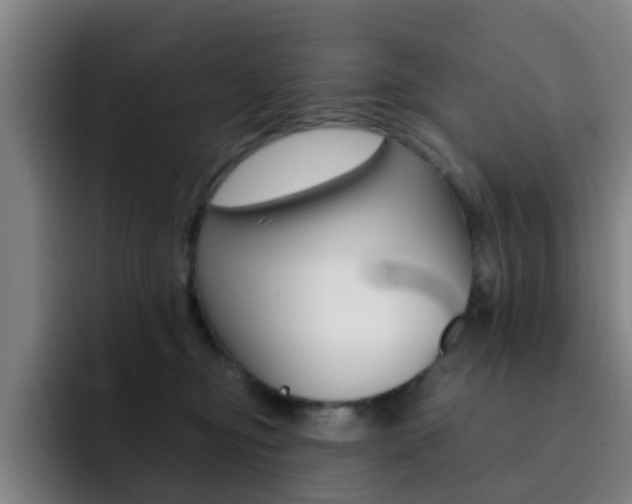 X0000093100374200709260932