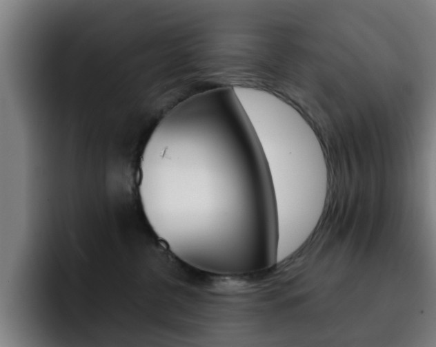 X0000093100380200709260932