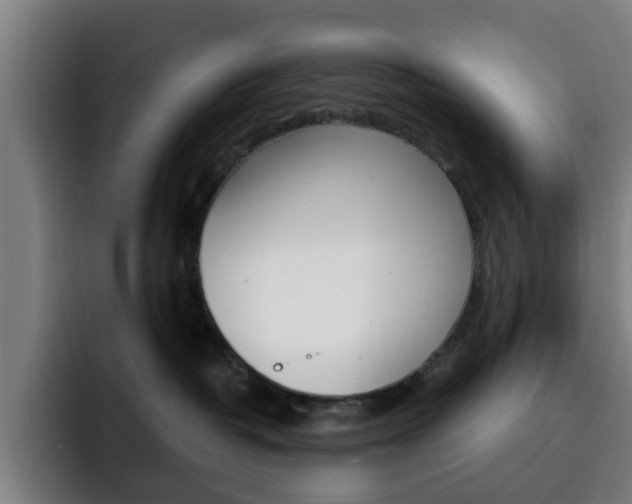 X0000093100382200709260932