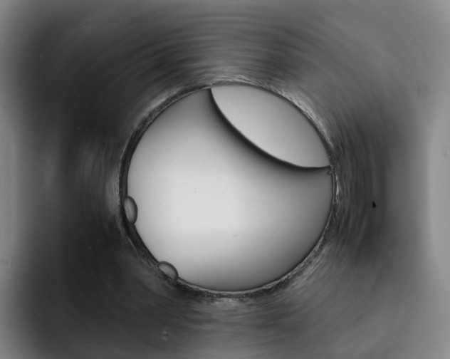 X0000093100390200709260931