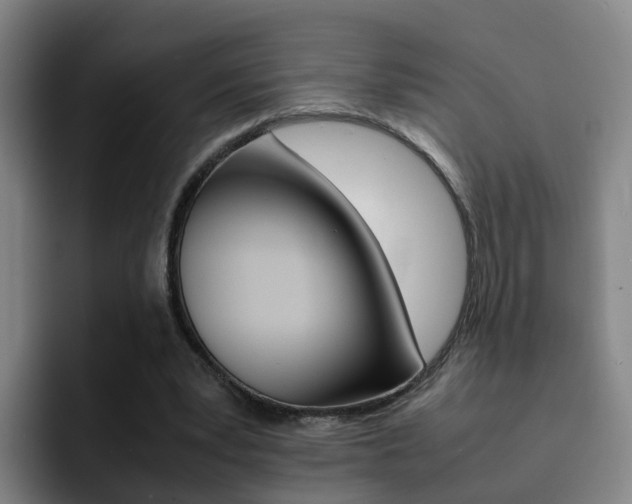 X0000093100391200709260931