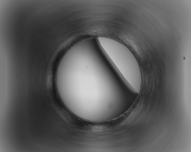 X0000093100400200709260931