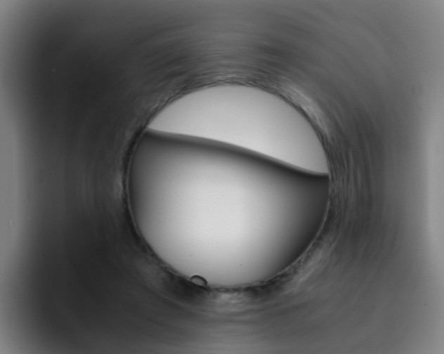 X0000093100401200709260931